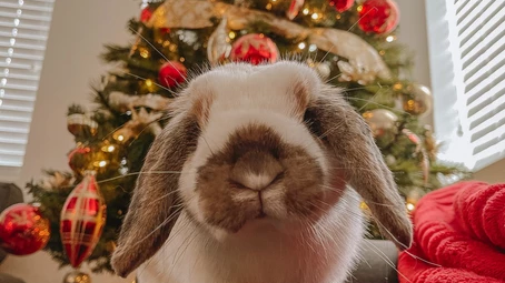 HAY IT'S FRIYAY ! IT'S DECEMBER!