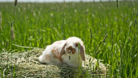 “HAY, IT’S FRIYAY!” 50% OFF