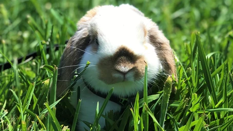 “HAY, IT’S FRIDAY!” HOORAY!