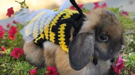 “HAY, IT’S FRIYAY” It's officially Spooky Season!