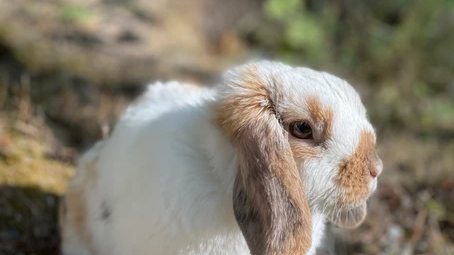 “HAY, IT’S FRIYAY!” TGIF!