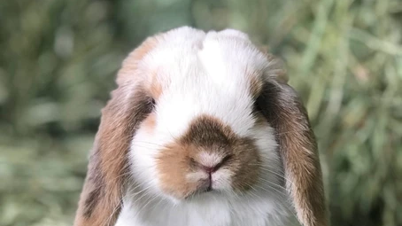 “HAY, IT’S FRIDAY!” Welcome Bella to the team!