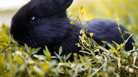 HAY, IT’S FRIDAY!