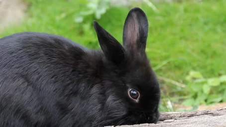 HAY, IT’S FRIDAY!