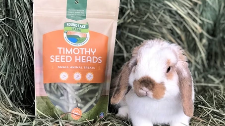 “HAY, IT’S FRIYAYYYY!!!!” Exciting Product Announcement