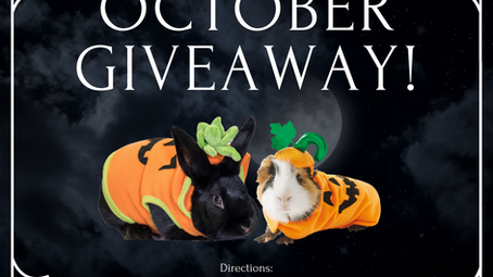 “HAY, IT’S FRIYAY!” – October Giveaway!