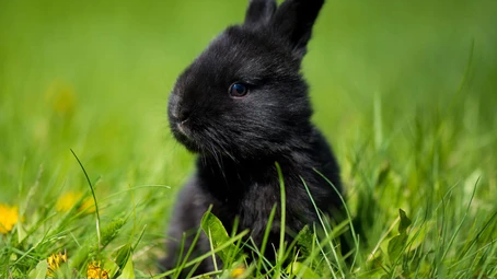 HAY, IT’S FRIDAY!