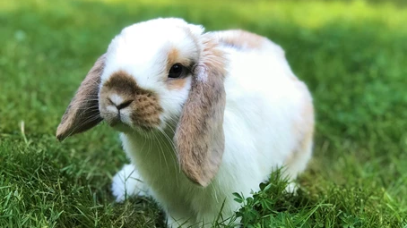 “HAY, IT’S FRIYAY!” – Let’s talk about Bella’s FIRSTS…