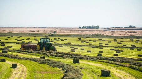 “HAY, IT’S FRIYAY!” MY FIRST ROAD TRIP!