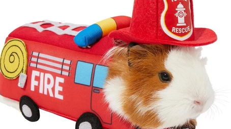 “HAY, IT’S FRIYAY!” – HALLOWEEN COSTUMES