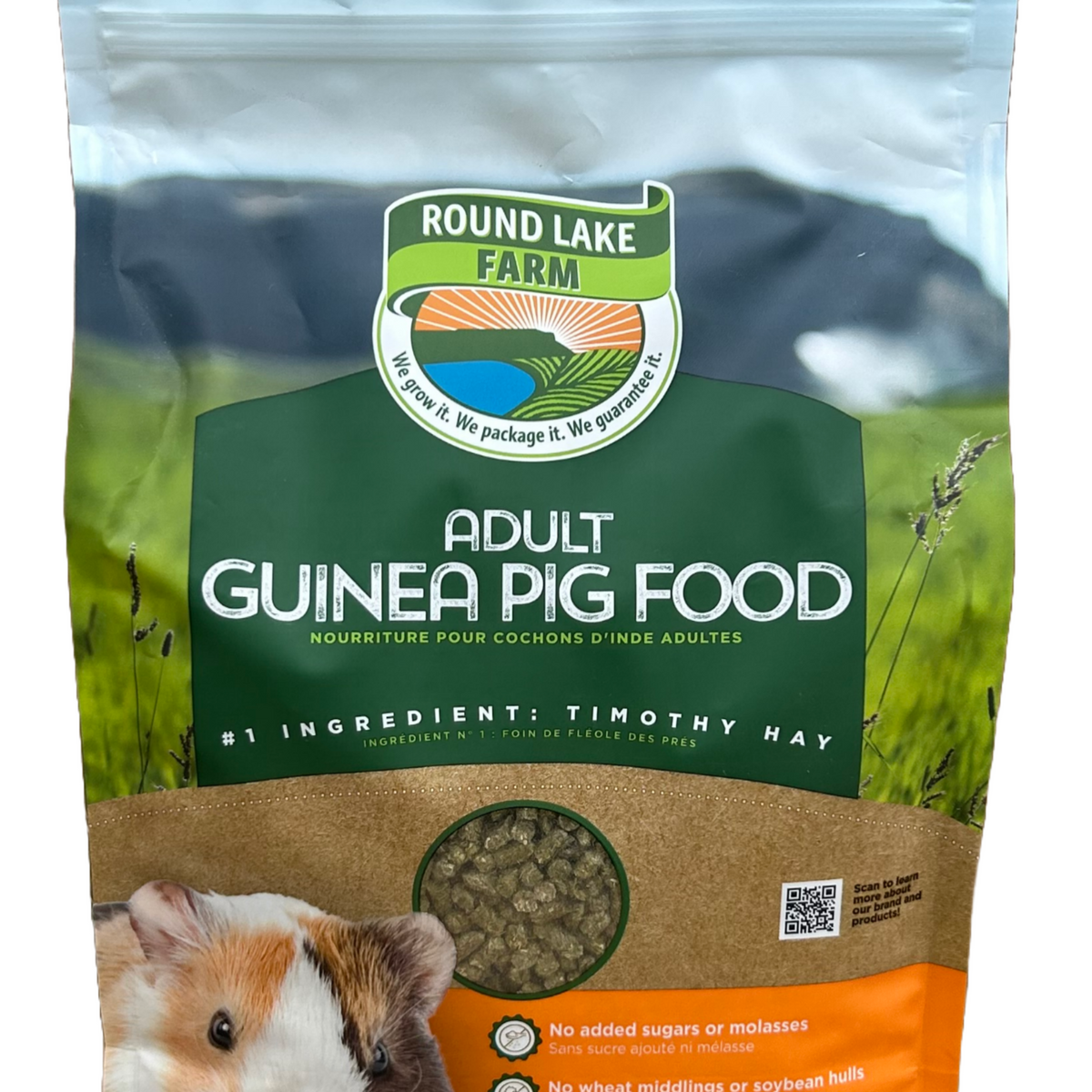 Curated visual reference: 4Lb Adult Guinea Pig Diet Photo Inspiration