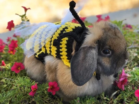 “HAY, IT’S FRIYAY” It's officially Spooky Season!