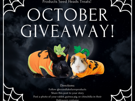 “HAY, IT’S FRIYAY!” – October Giveaway!