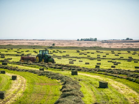 “HAY, IT’S FRIYAY!” MY FIRST ROAD TRIP!