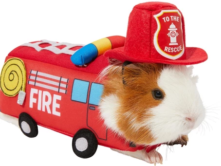 “HAY, IT’S FRIYAY!” – HALLOWEEN COSTUMES